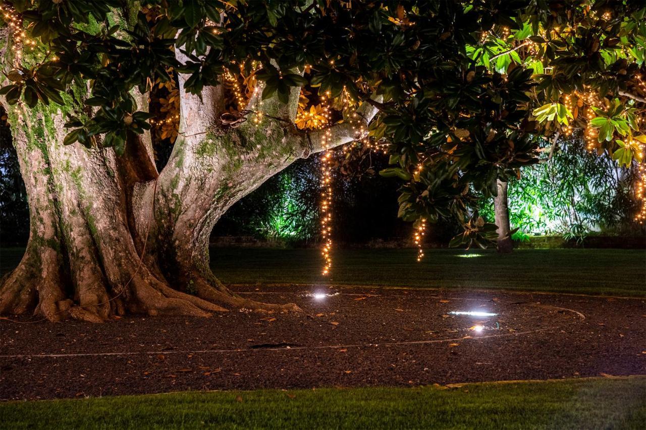 Hotel Villa I Pini Malo  Exteriér fotografie